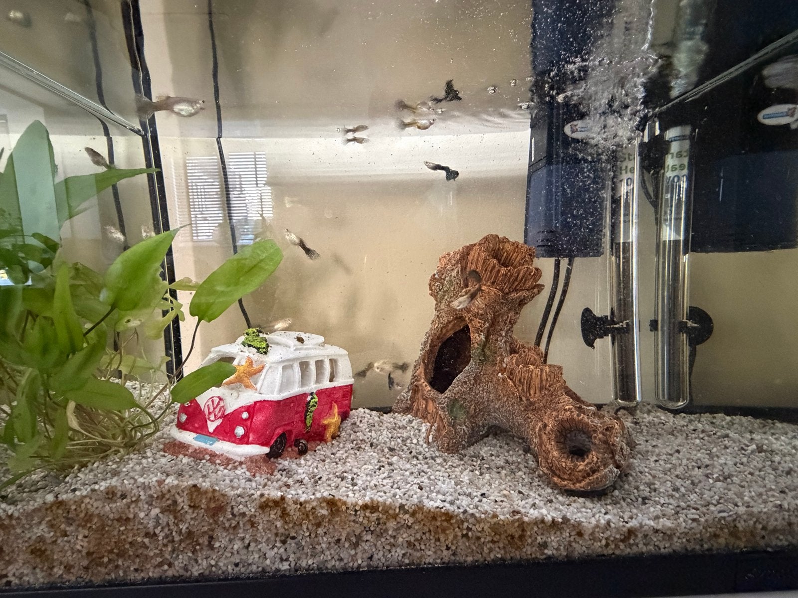Superfish Aquarium incl verwarming filterpomp, vissen, tafel, Ophalen, Gebruikt, Gevuld zoetwateraquarium, Superfish