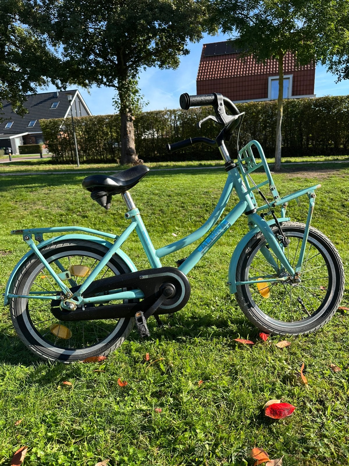 Alpina kinderfiets 16 inch, Ophalen, Terugtraprem, Gebruikt, Handrem