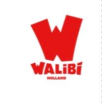 Walibi ticket, Eén persoon, Ticket of Toegangskaart