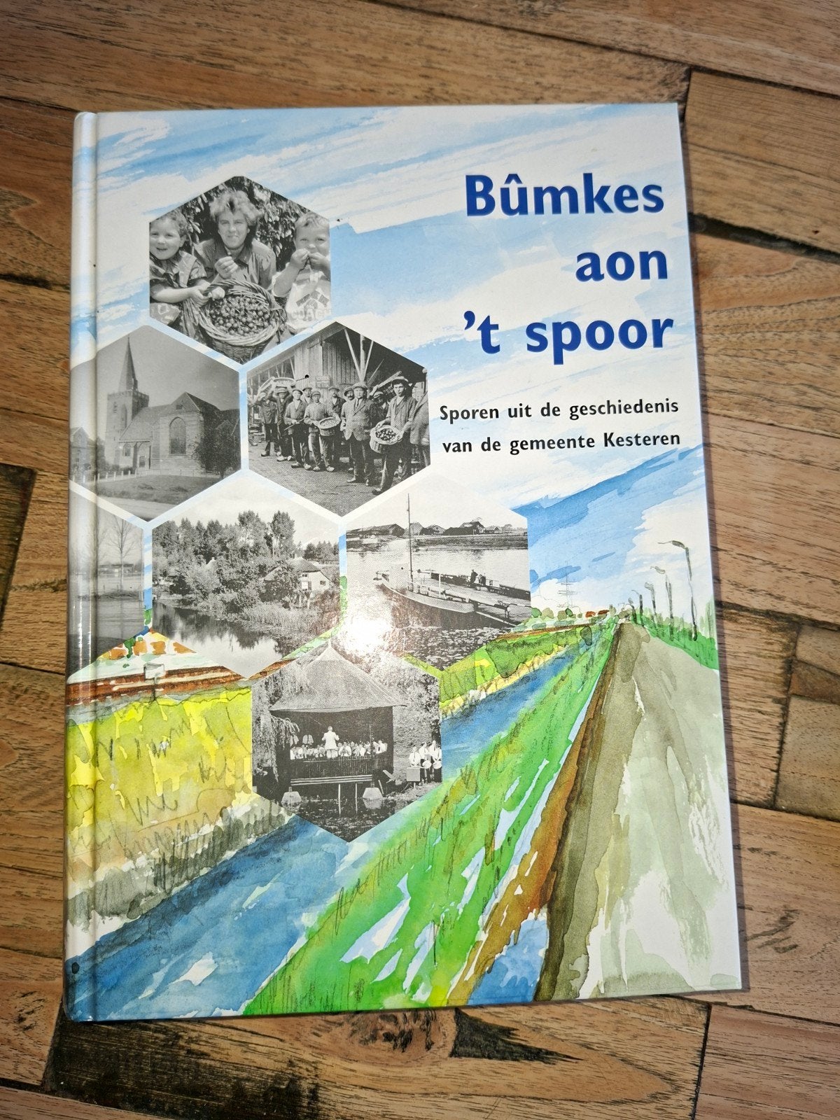 Bûmkes aon 't spoor - Geschiedenis gemeente Kesteren, Ophalen of Verzenden, 20e eeuw of later, Zo goed als nieuw, Onbekend