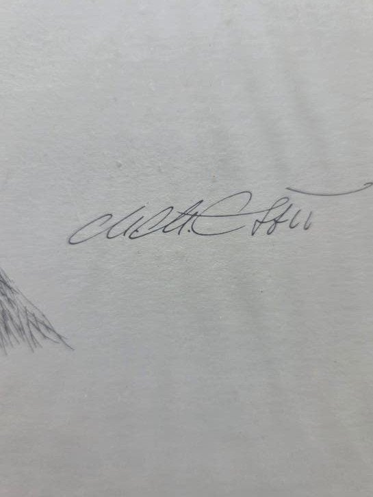 Originele pentekening van een windhond, gesigneerd, Ophalen of Verzenden, Tekening, Pentekening, Gesigneerd