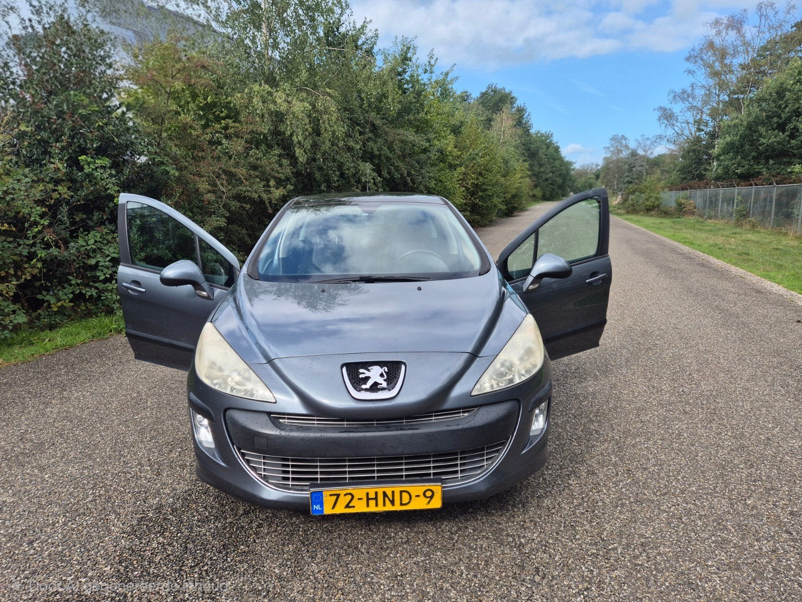 Peugeot 308 1.6 VTi (2009) | Panoramadak | Trekhaak | Cruise, Voorwielaandrijving, 15 km/l, 680 kg, 4 cilinders