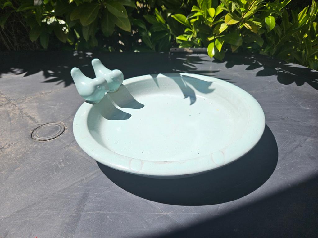 Mint groen vogelbadje, Tuin en Terras, Vogelhuisjes en Vogelbaden, Ophalen, Gebruikt