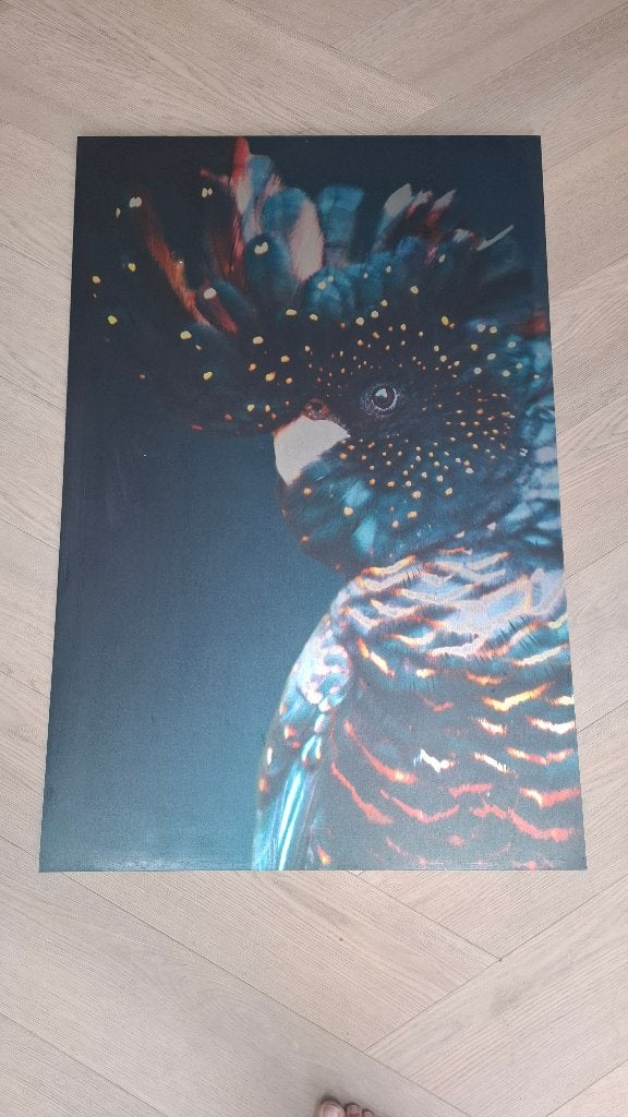 Prachtige Kaketoe Canvas Print - Kleurrijk en Modern, Ophalen, 75 – 100, 50 tot 75 cm, Print