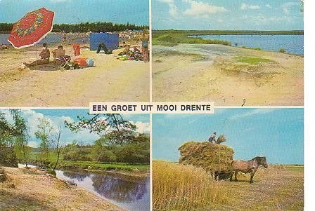 Ansichtkaart 	Zorgvlied	Camping Zorgvlied	4-luik	Paarden, Verzamelen, Ansichtkaarten | Nederland, Verzenden, 1960 tot 1980, Gelopen