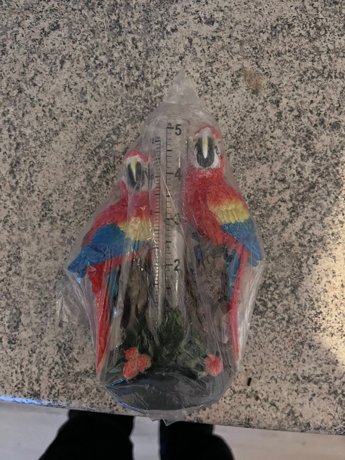 Regenmeter met twee ara papegaaien, Ophalen, Nieuw