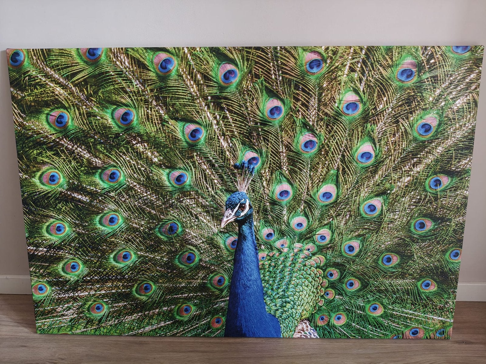 Canvas schilderij pauw 120x80, Antiek en Kunst, Ophalen