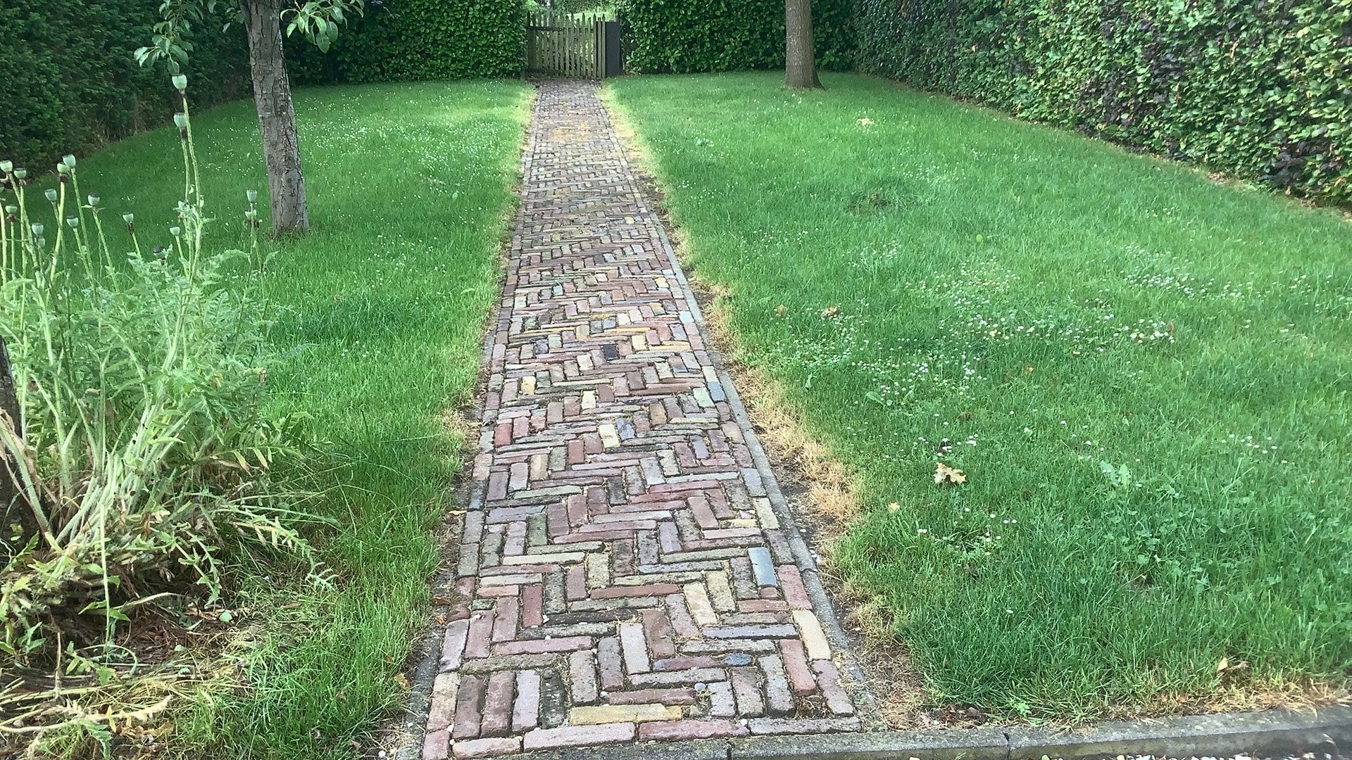 Echt oude gebakken klinkers, 5 duimers., Tuin en Terras, Ophalen, Klinkers