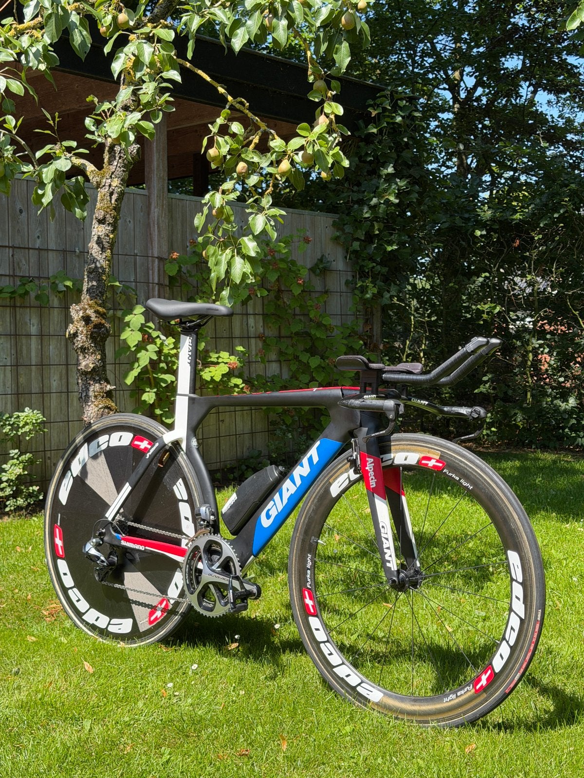 Giant Trinity Advanced Pro (maat s) Tijdrit - Triathlon, Fietsen en Brommers, Fietsen | Racefietsen, Ophalen, 28 inch, Carbon