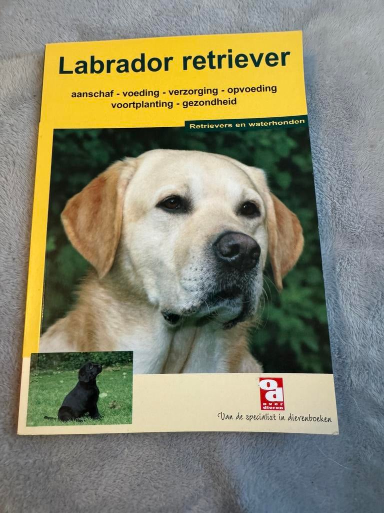 Labrador retriever (boekje), Ophalen of Verzenden, Honden