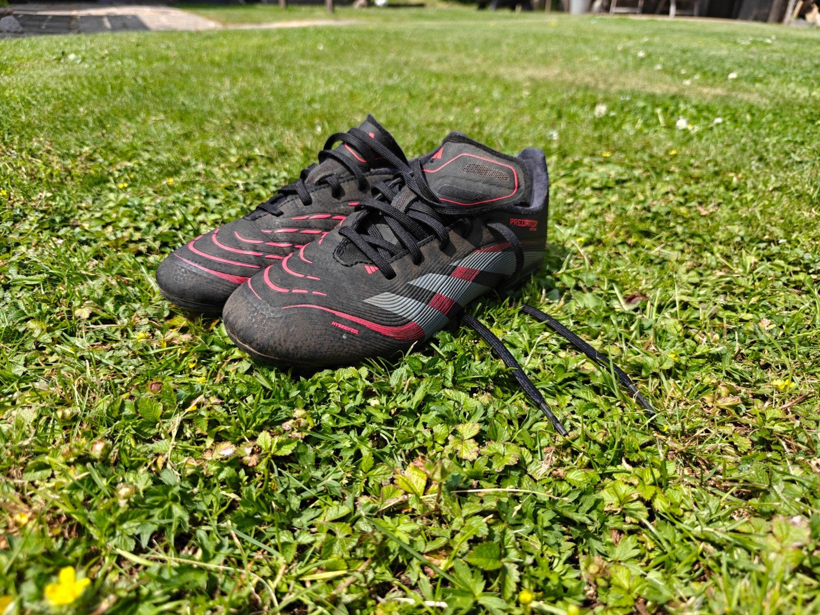 Adidas Predator voetbalschoenen - Maat 37,5, Maat XS of kleiner, Ophalen of Verzenden, Gebruikt, Schoenen