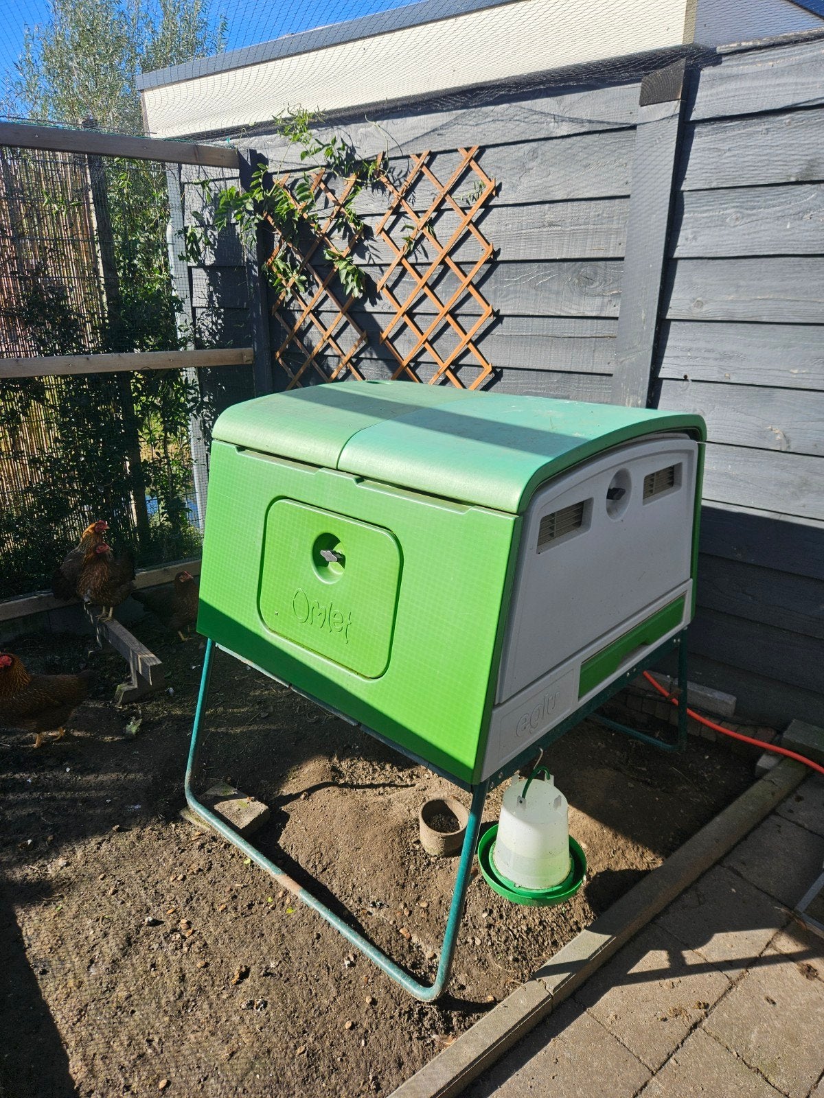 te koop Omlet Cube, Ophalen, Kippenhok of Kippenren