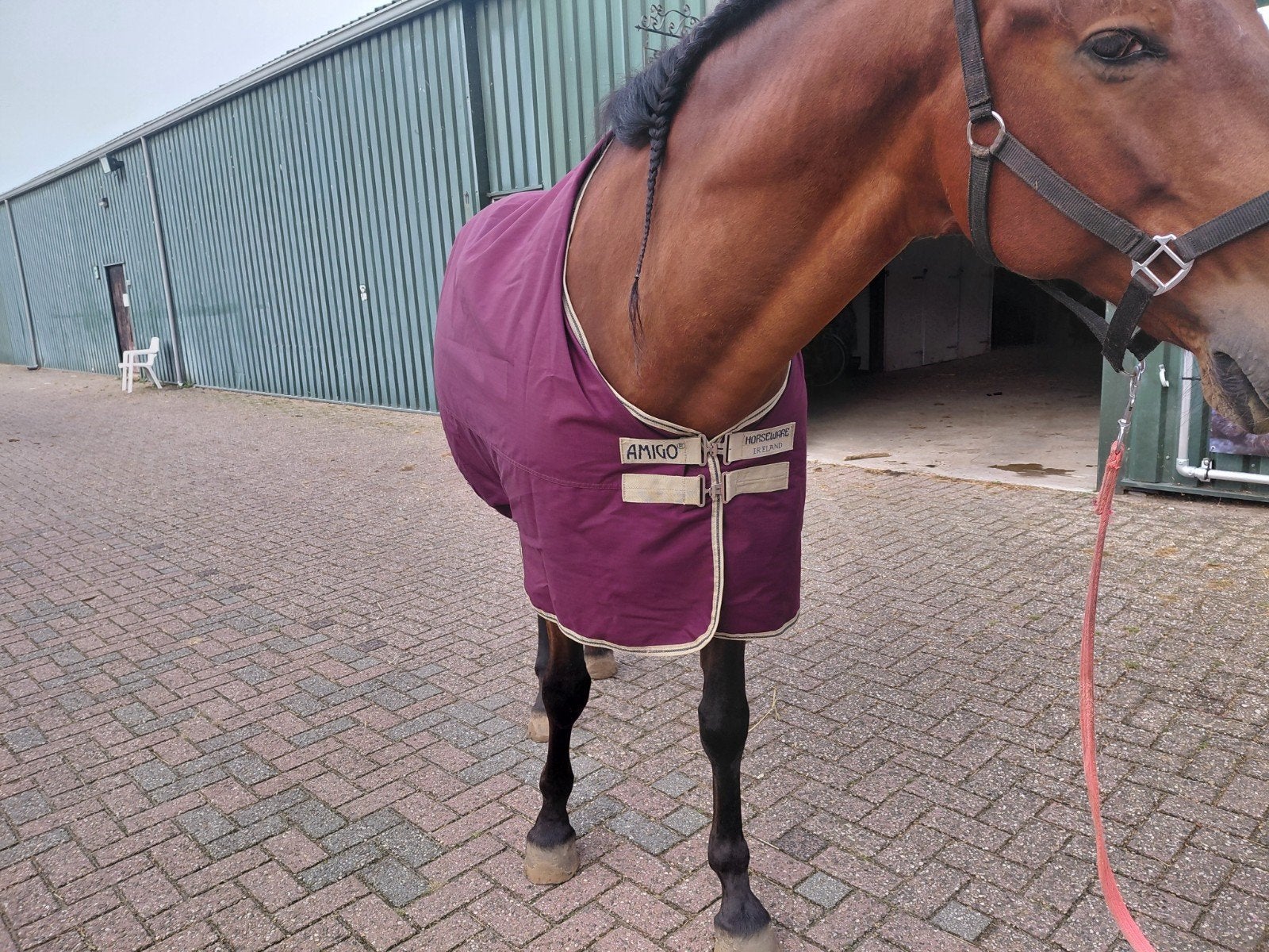 Horseware AMIGO deken incl 2 liners 100 en 200 gr. Maat 6.3, Full (L), Rood, Dubbele borstsluiting, Ophalen of Verzenden