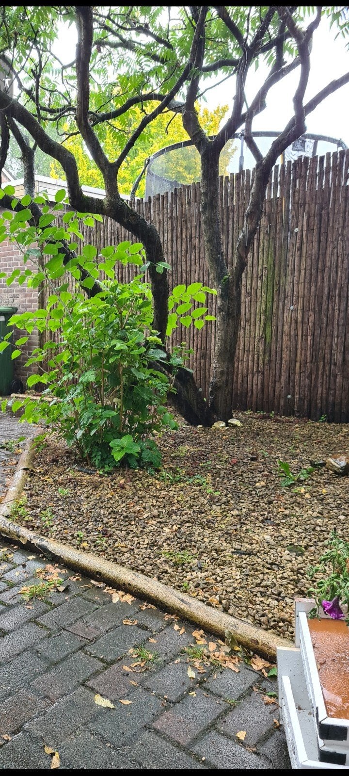 Steentjes voor sierbestrating borders of tuin, Ophalen