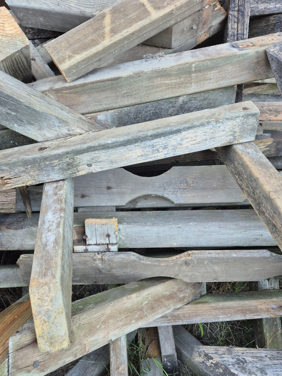Tuinhout brandhout GRATIS ophalen, 3 tot 6 m³, Ophalen of Verzenden, Overige houtsoorten