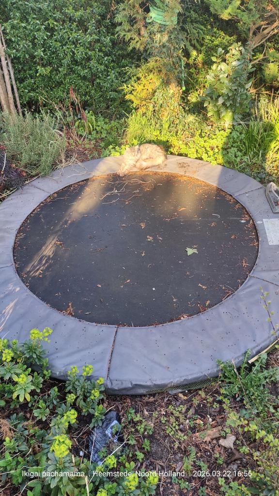 Trampoline 2 meter tot 150 kg, Ophalen of Verzenden