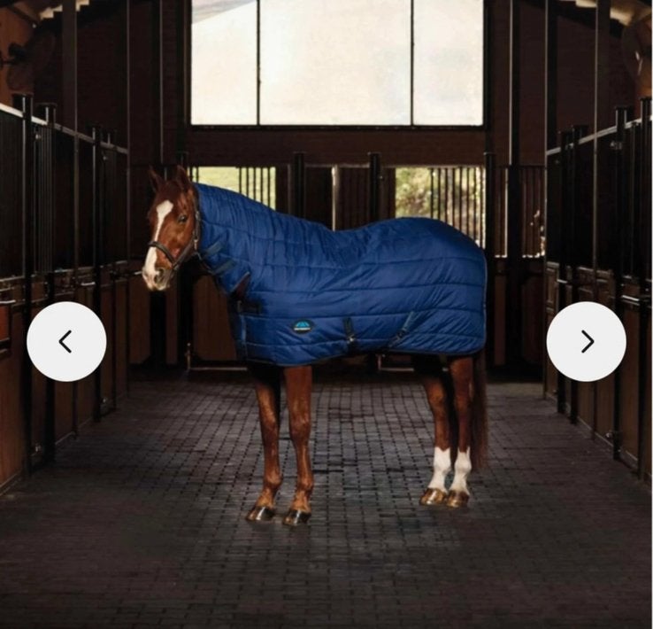 WeatherBeeta comfitec combo 220 gram met hals maat 185, Dieren en Toebehoren, Ophalen of Verzenden, Zo goed als nieuw