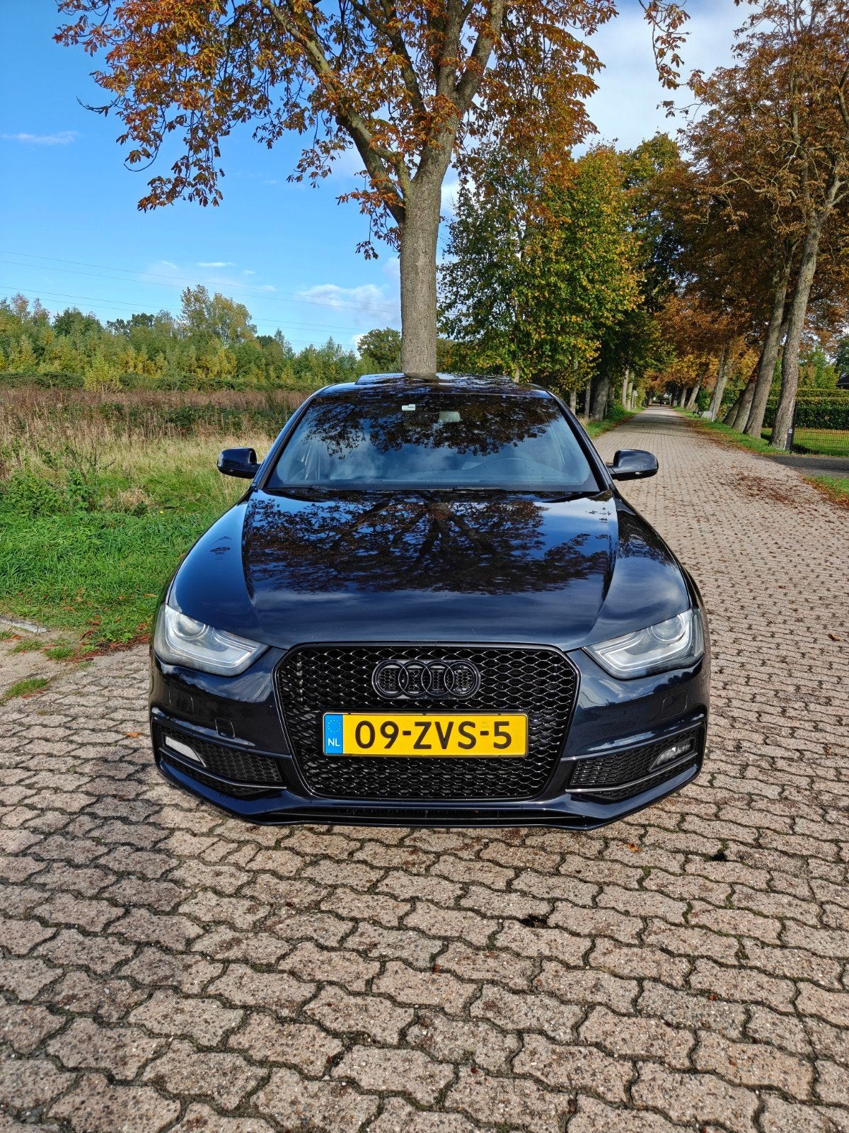 Audi A4 1.8 Tfsi 88KW Automaat 2013 Blauw, Euro 5, 1440 kg, Zwart, 4 cilinders