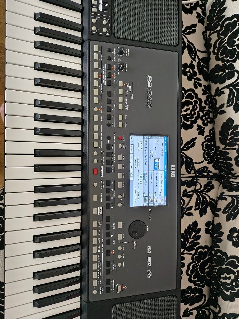 Korg PA600 met Oriental-set - Update nodig, Muziek en Instrumenten, Korg, Ophalen of Verzenden, Met standaard, 61 toetsen