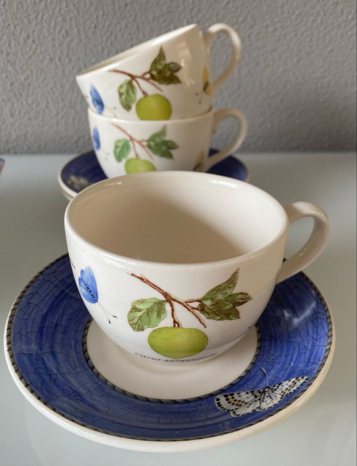 3 kop en schotels Wedgwood Sarah’s Garden, Gebruikt, Klassiek, Ophalen of Verzenden, Kop(pen) en/of Schotel(s)