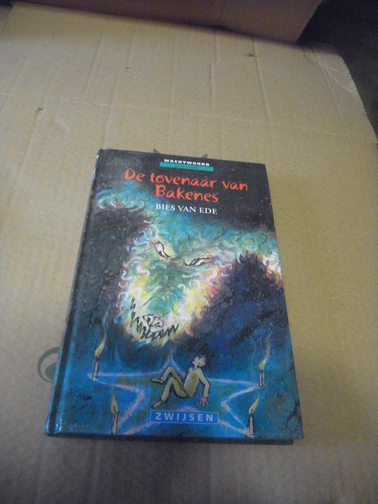 boek de tovenaar van Bakenes, Ophalen of Verzenden, Zo goed als nieuw, Fictie algemeen