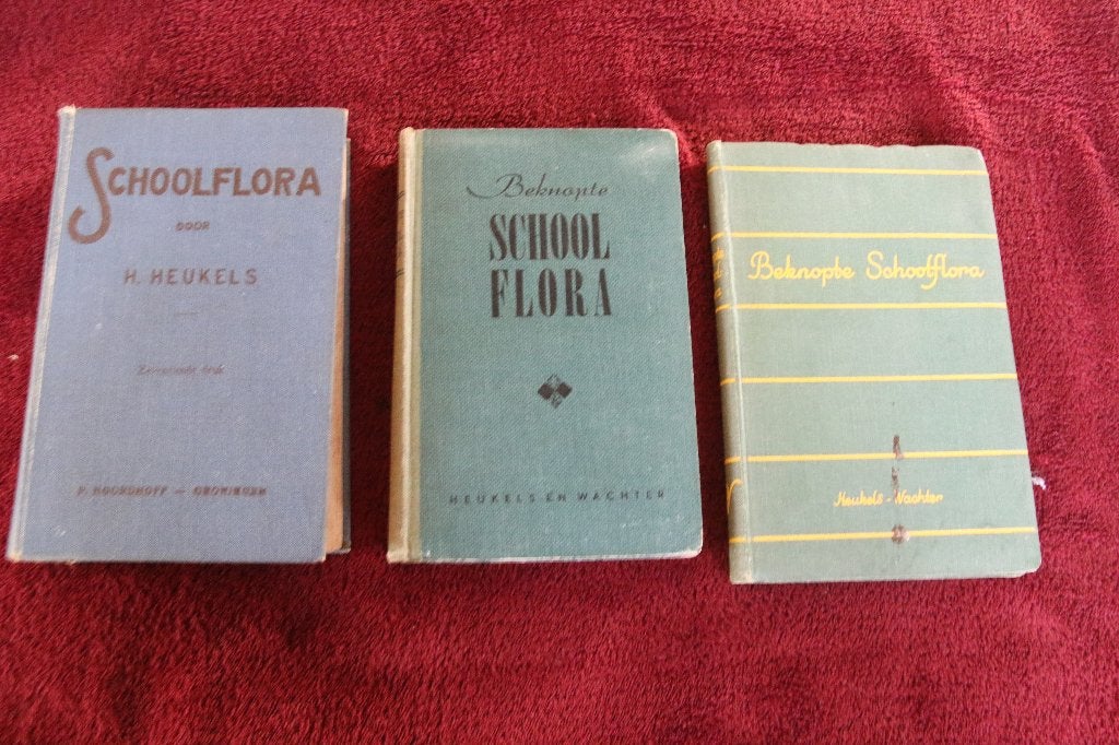 3 boeken Beknopte schoolflora, Ophalen of Verzenden, Gelezen