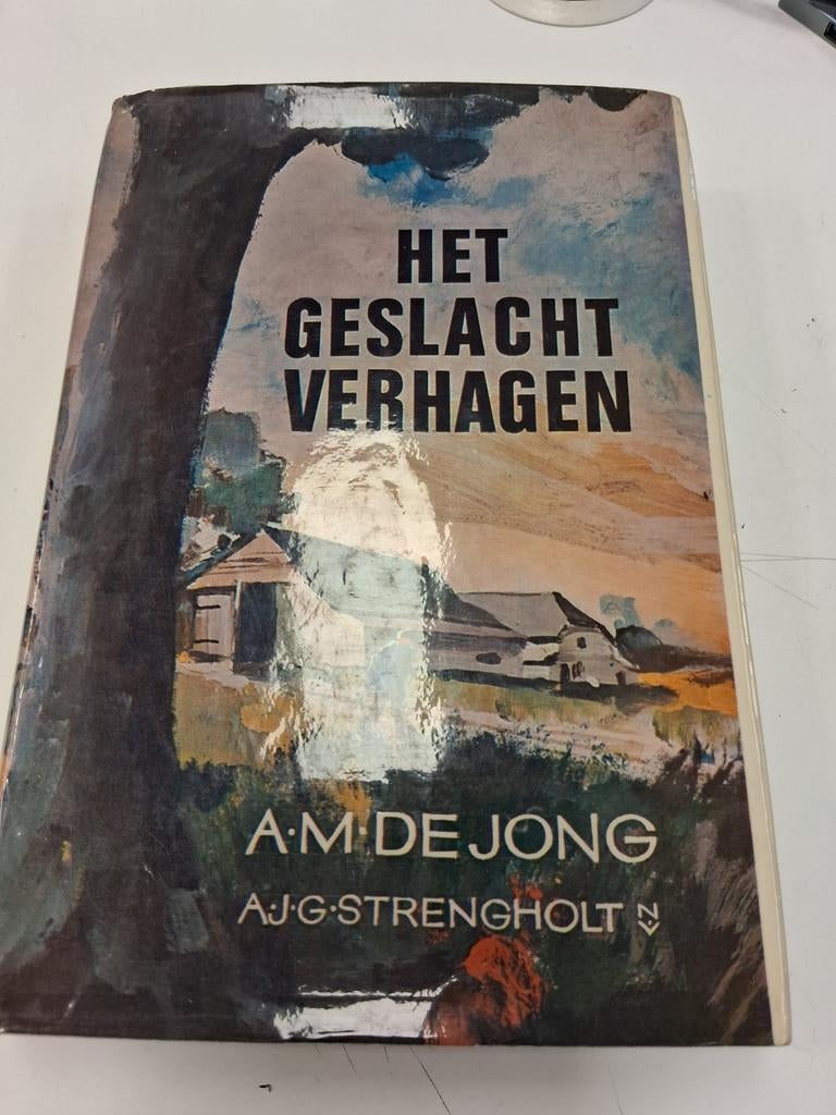 Het Geslacht Verhagen - A.M. de Jong (AJG Strengholt), Ophalen of Verzenden, Gelezen, A.M. de Jong