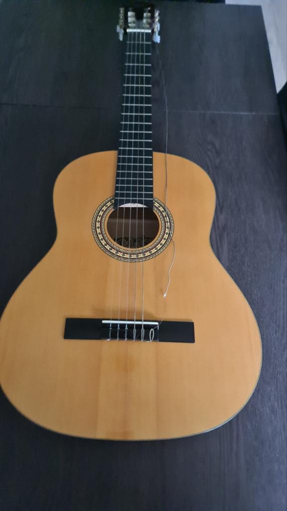 Akoestische gitaar Motion TC 901 met Ritter tas, Ophalen