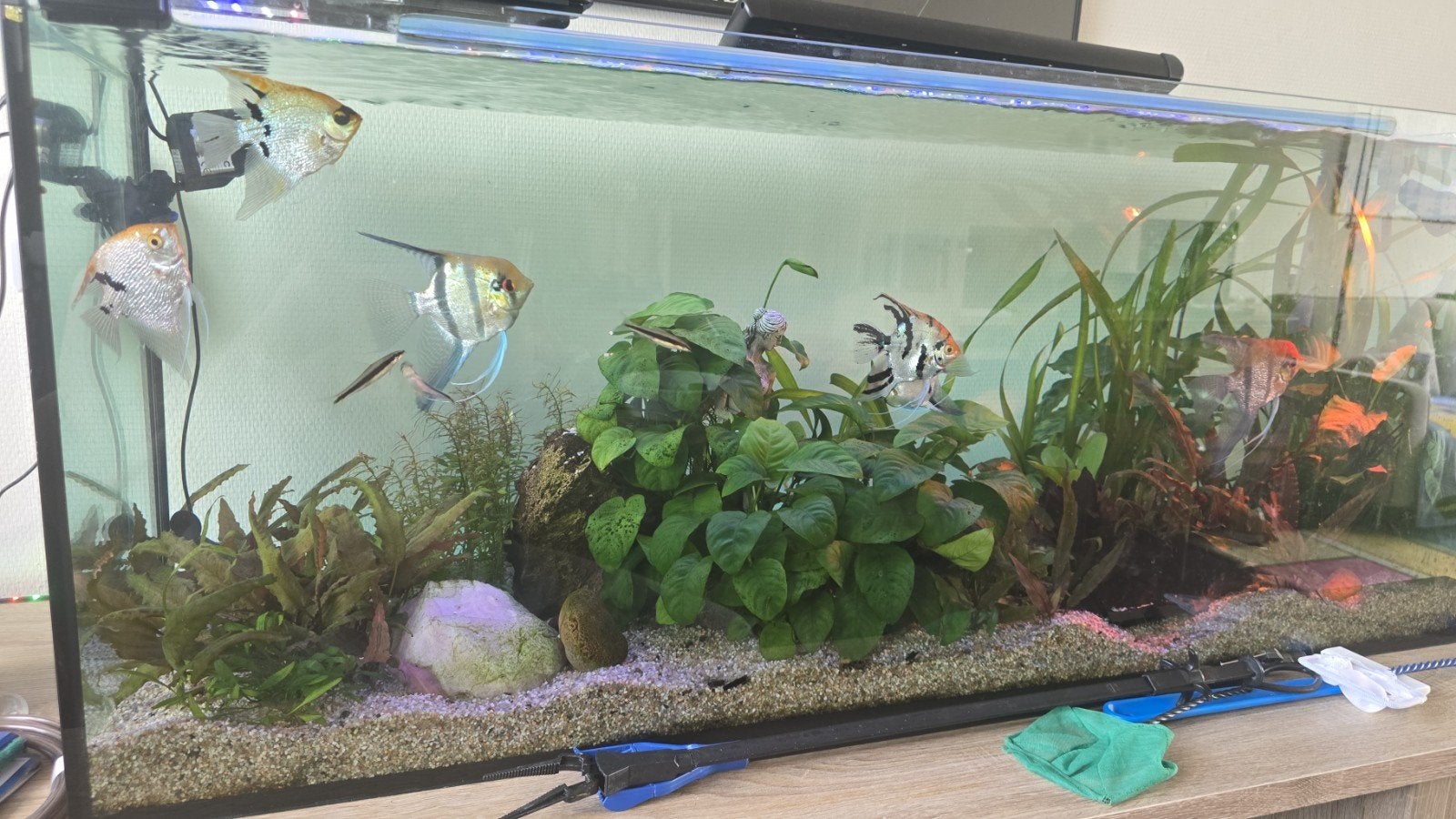Aquarium / Meubel, Dieren en Toebehoren, Vissen | Aquaria en Toebehoren, Ophalen, Gebruikt