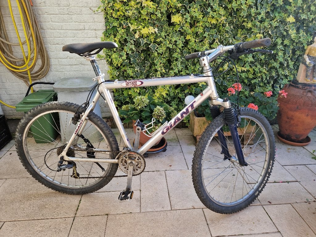 mountainbike merk Giant, Gebruikt, 57 cm of meer, Hardtail, Heren