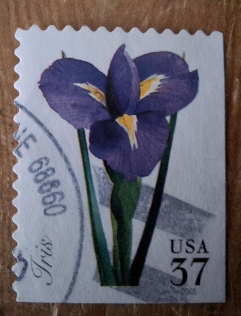 Usa 66, Ophalen of Verzenden, Noord-Amerika