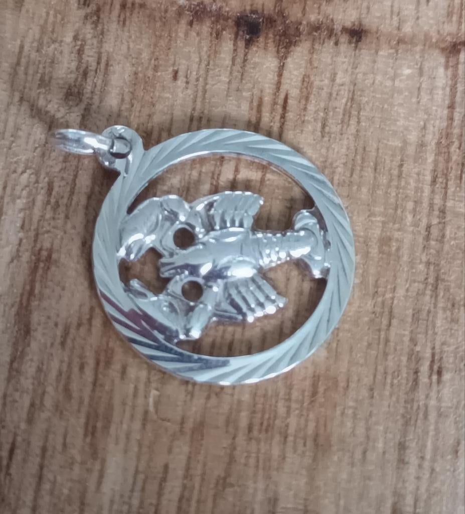 Zilveren hanger met kreeft  sterrenbeeld, Overige voorstellingen, Ophalen of Verzenden, Zo goed als nieuw, Zilver