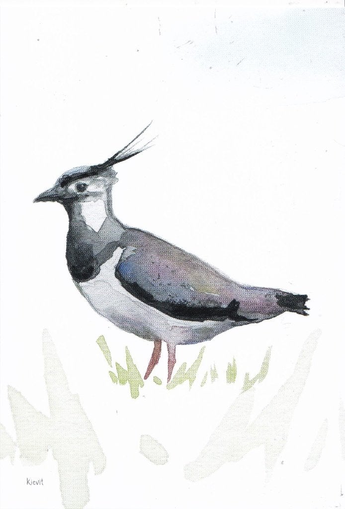 Michelle Dujardin - Nederlandse weidevogels – kievit, Verzenden, 1980 tot heden, Ongelopen, Natuur