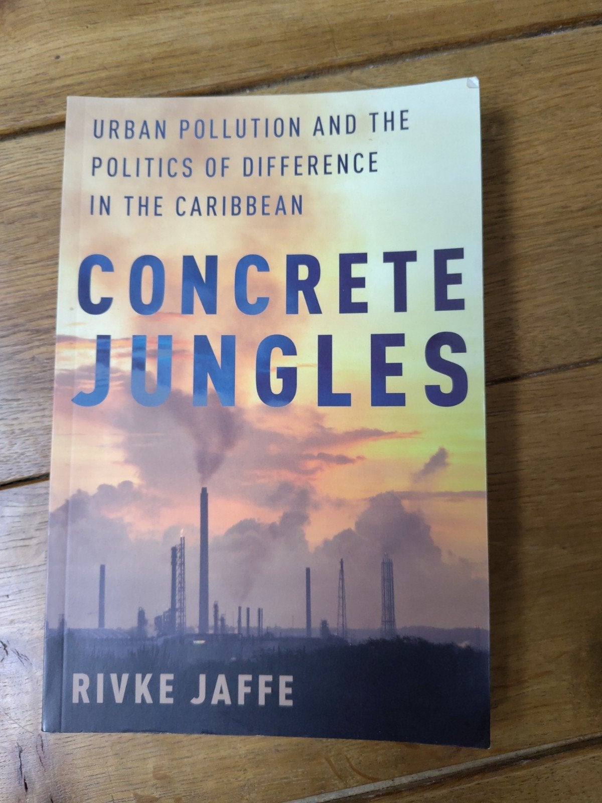 Concrete Jungles, Ophalen of Verzenden, Zo goed als nieuw, Rivke Jaffe