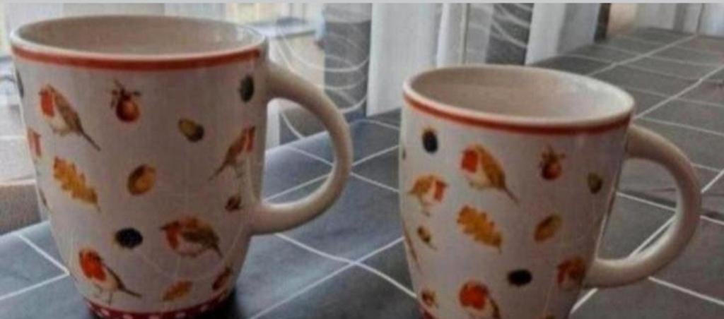 Twee Bekers Theo met Roodborstjes opdrukken, Huis en Inrichting, Ophalen of Verzenden, Zo goed als nieuw, Overige stijlen, Kop(pen) en/of Schotel(s)