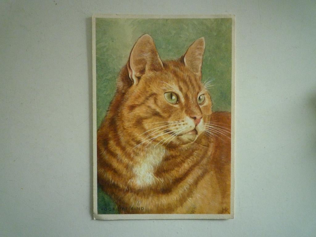 Voor het kind kaart rode kater poes kat, Ophalen of Verzenden, Voor 1920, Hond of Kat