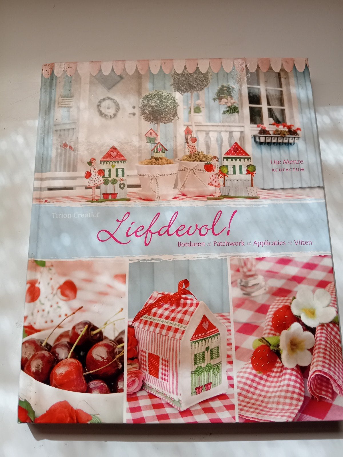 Liefdevol! Borduren, Patchwork, Applicaties, Vilten Boek, Gebruikt, Overige thema's, Meerkleurig, Ophalen of Verzenden