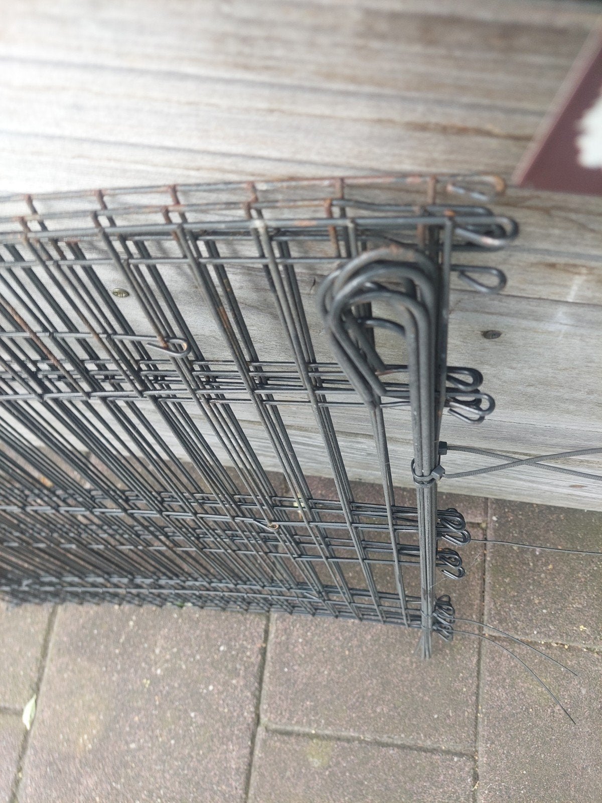 buitenren voor konijn, Dieren en Toebehoren, Ophalen, 110 cm of meer, Ren, Konijn