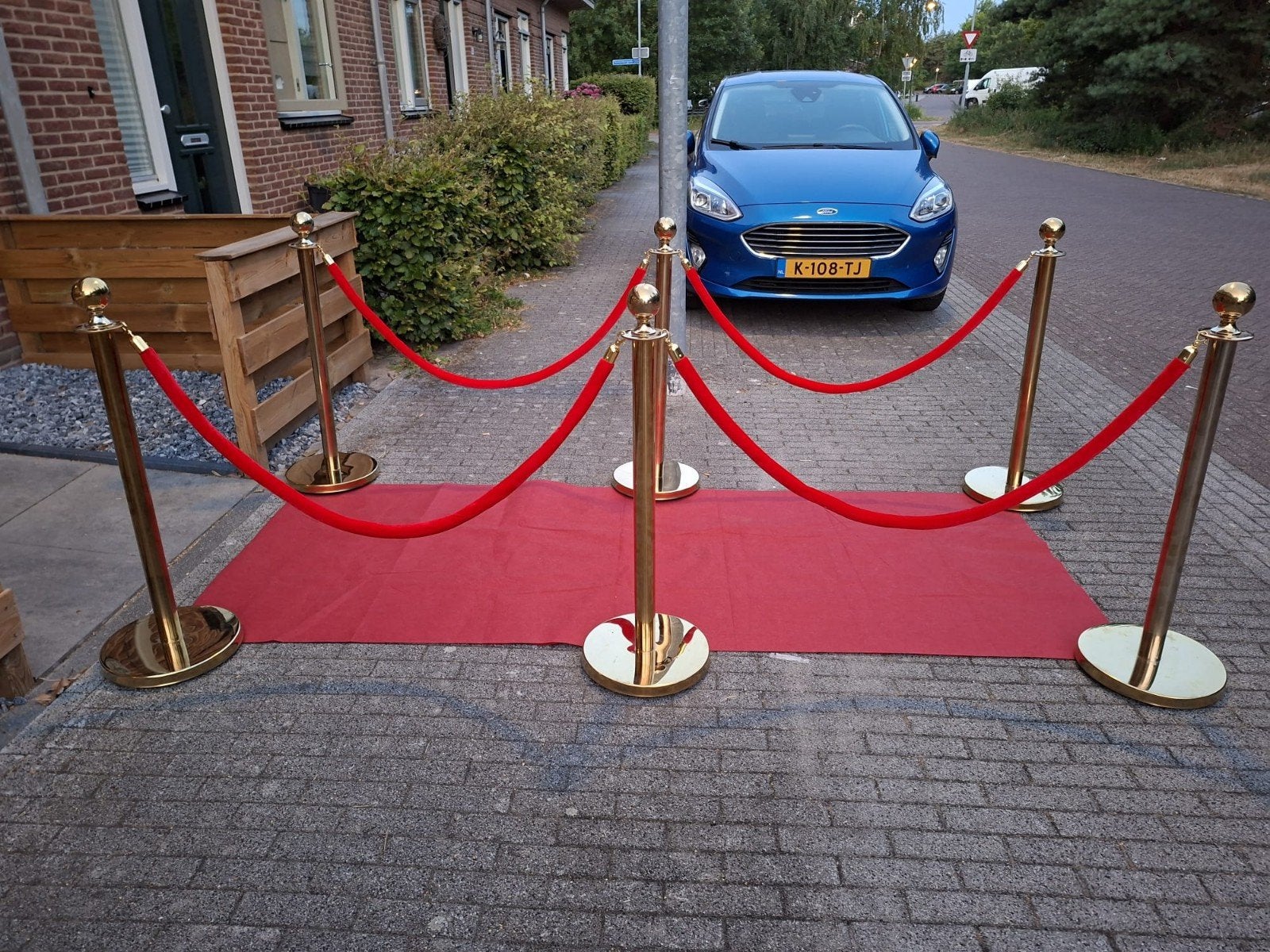 Te Huur RODE LOPER MET GOUDEN PALEN EN RODE KOORDEN, Ophalen of Verzenden