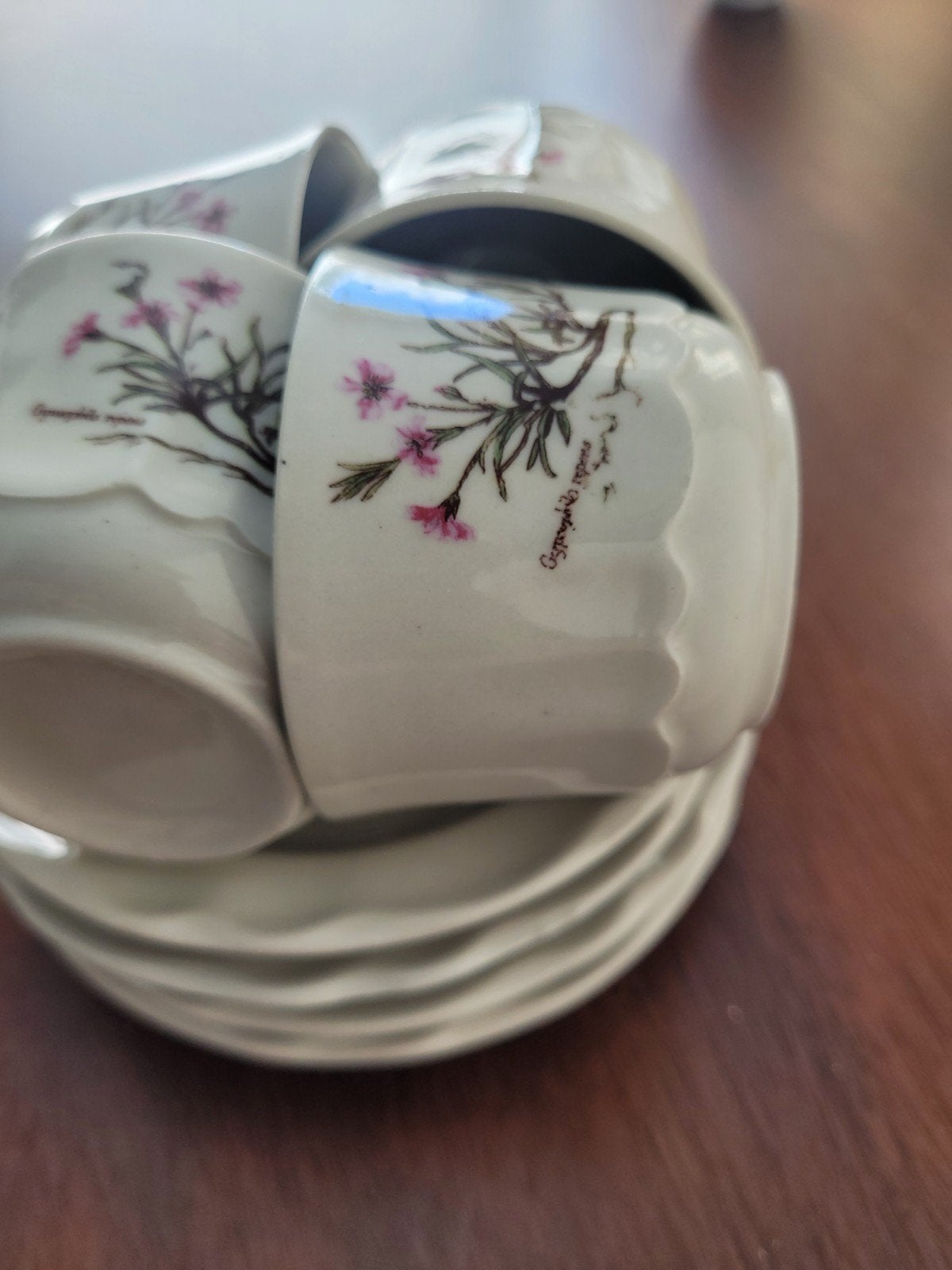 Mokkaservies, vintage met botanische afbeelding, Antiek en Kunst, Ophalen of Verzenden