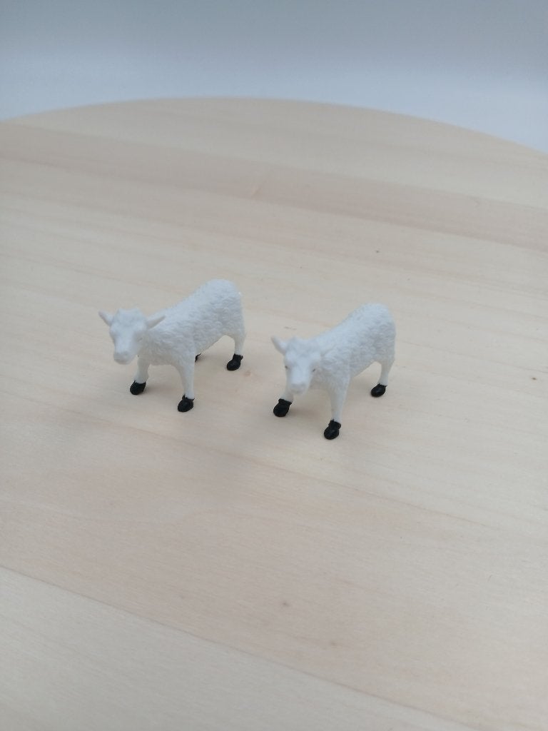 Schapen, Ophalen of Verzenden, Gebruikt, Jongen of Meisje