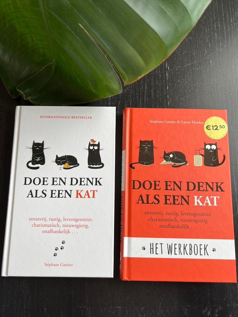 Doe en Denk als een Kat - Boek & Werkboek (Zo goed als nieuw, Ophalen of Verzenden, Zo goed als nieuw