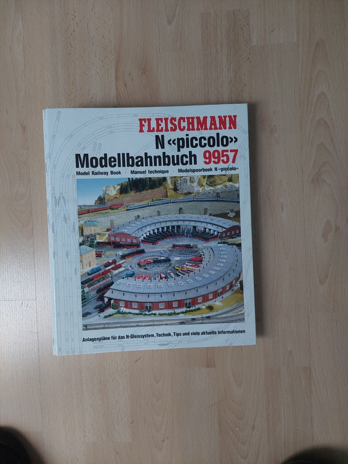 fleischmann modelbanen boek 9957, Gebruikt, Gelijkstroom, Fleischmann, Boek, Tijdschrift of Catalogus