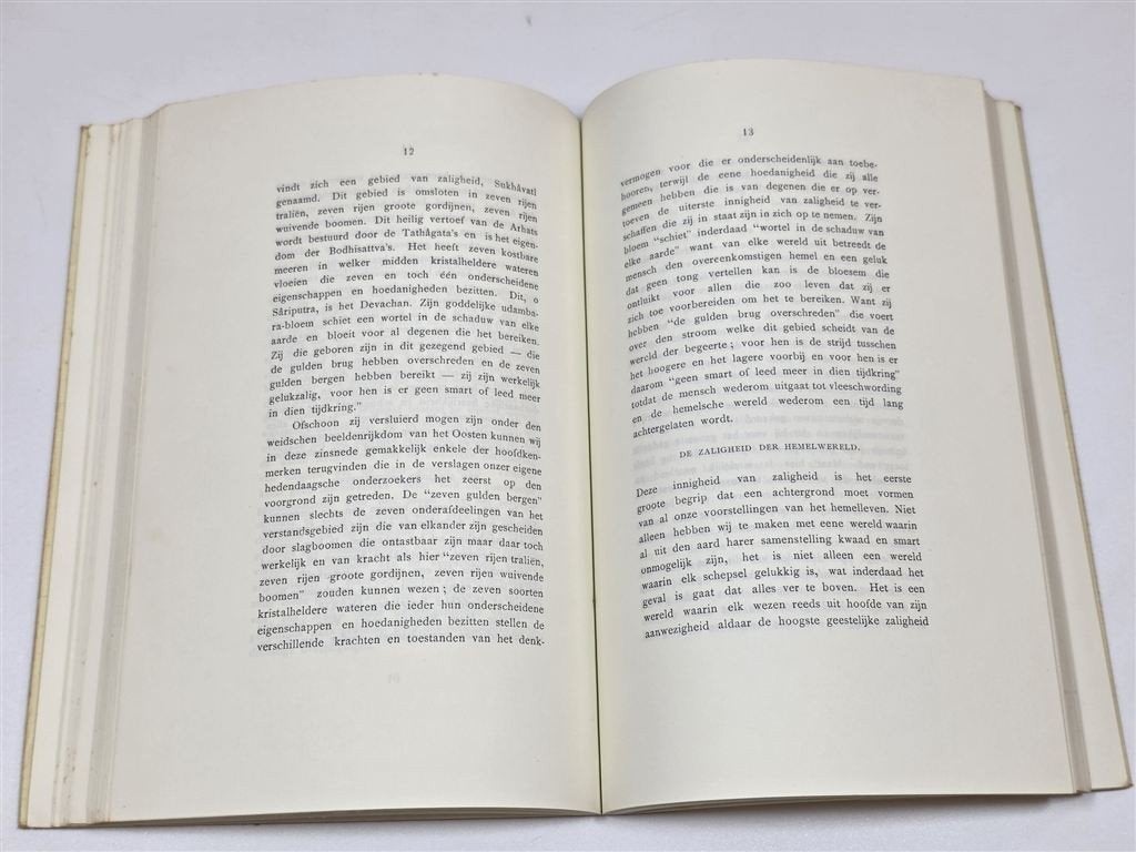 Leadbeater Astraal- & Verstandsgebied — Theosofie, Ophalen of Verzenden, Gelezen, Overige onderwerpen, Achtergrond en Informatie