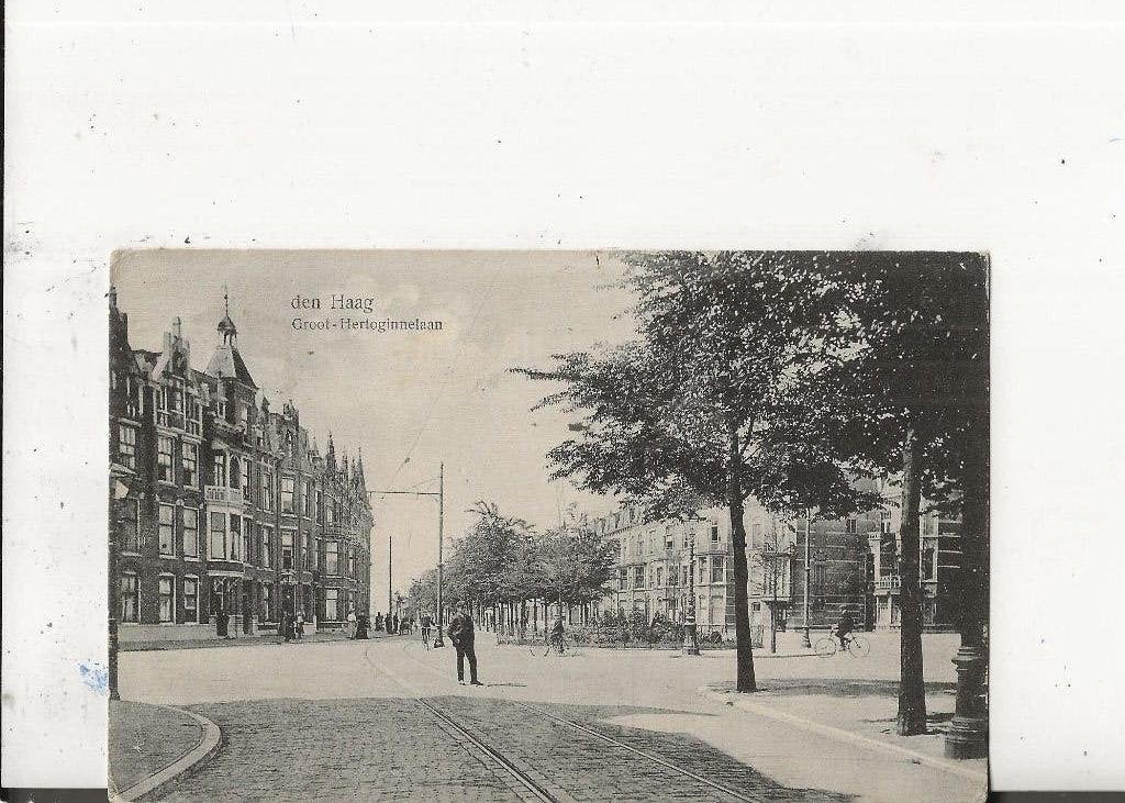 Den Haag Groot Hertoginnelaan naar De Rijp 5-12-1913, Ophalen of Verzenden, Voor 1920, Gelopen, Zuid-Holland