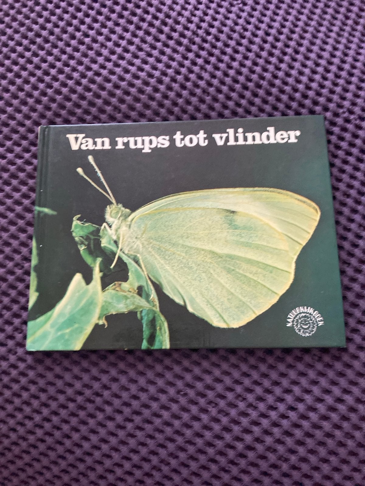 Van Rups tot Vlinder - Natuurboek over vlinders, Ophalen of Verzenden, Zo goed als nieuw, Natuur algemeen