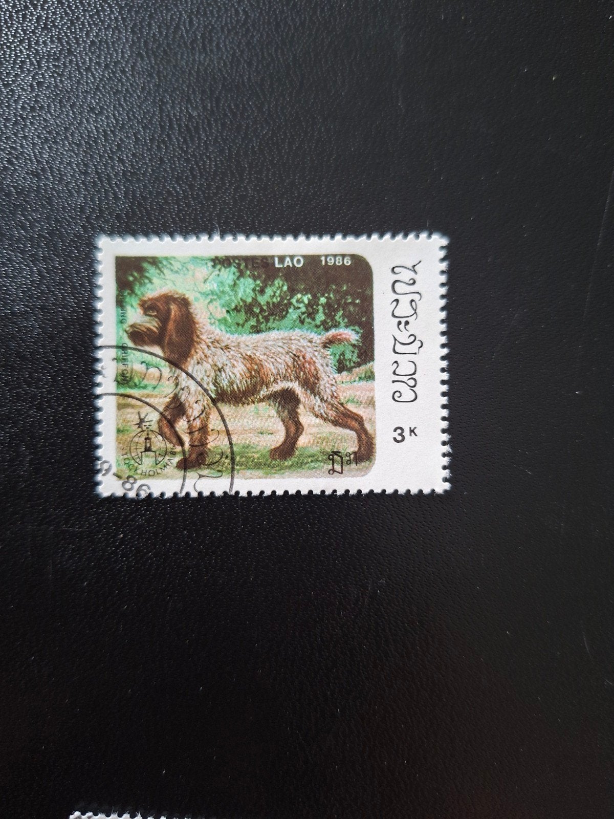 Laos.  Hond., Ophalen of Verzenden, Dier of Natuur
