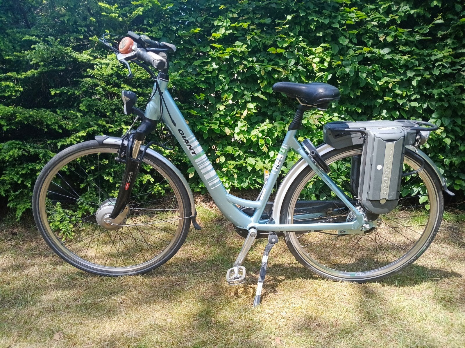 E-Bike Giant Go Twist Double, Fietsen en Brommers, Elektrische fietsen, Gebruikt, 51 tot 55 cm, Ophalen