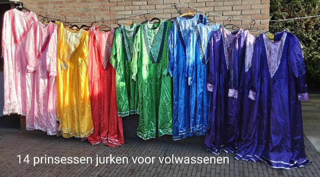 Verkleedkleding, Ophalen, Gebruikt, 170 of groter, Jongen of Meisje