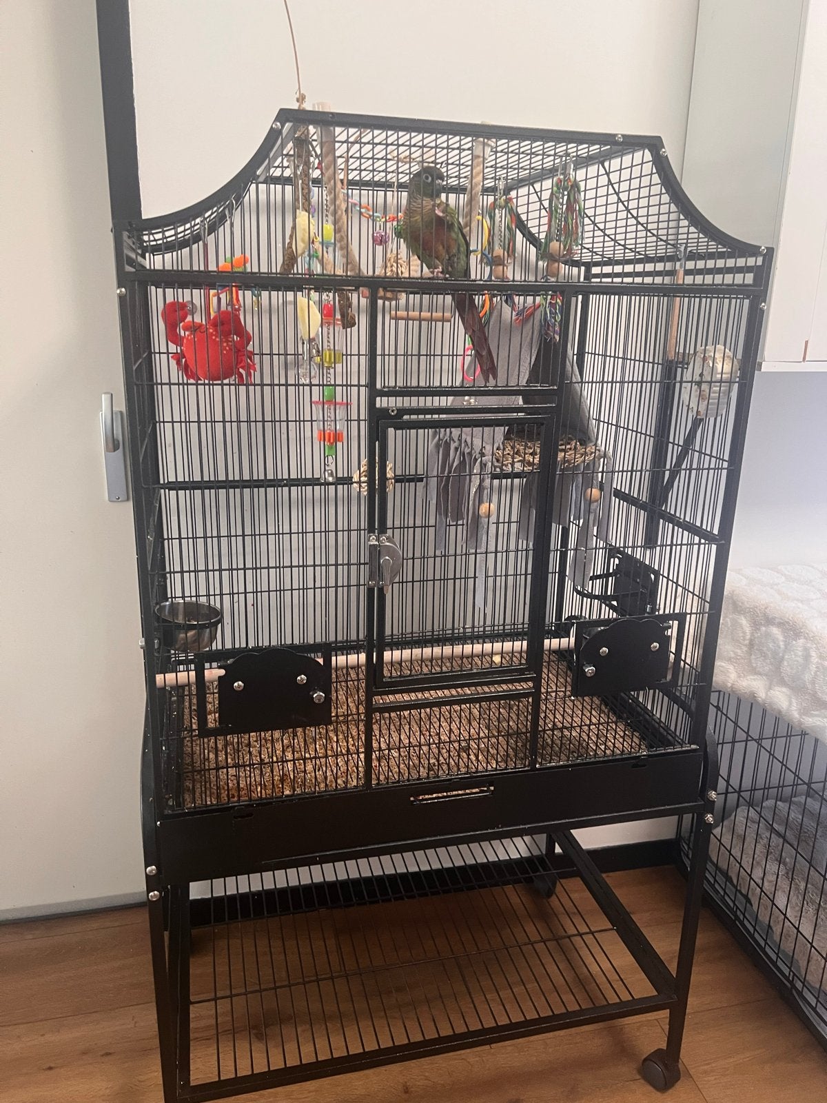 Vogelkooi met toebehoren, Dieren en Toebehoren, Vogels | Hokken en Kooien, Zo goed als nieuw, Vogelkooi, Metaal, Ophalen